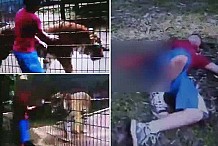 (vidéo) Un garçon de 11 ans se fait arracher la main en voulant caresser un tigre